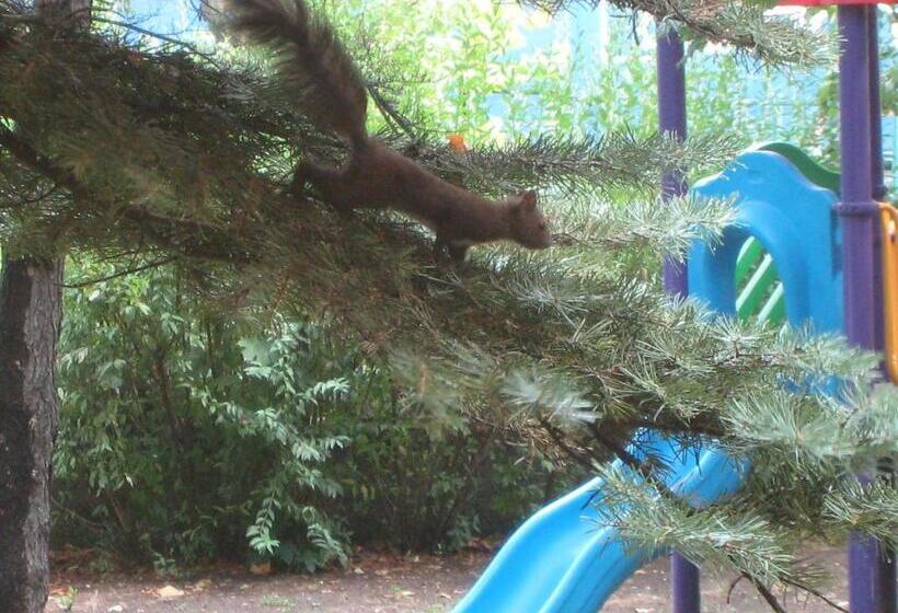 Family Hotel Familya