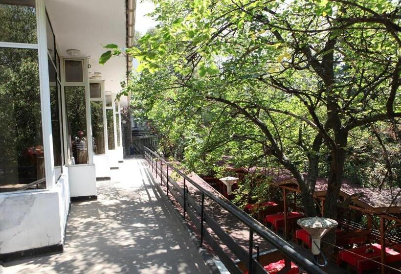 בית מלון כפרי Hijata