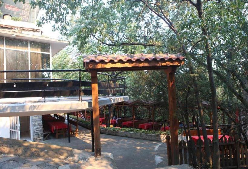 בית מלון כפרי Hijata