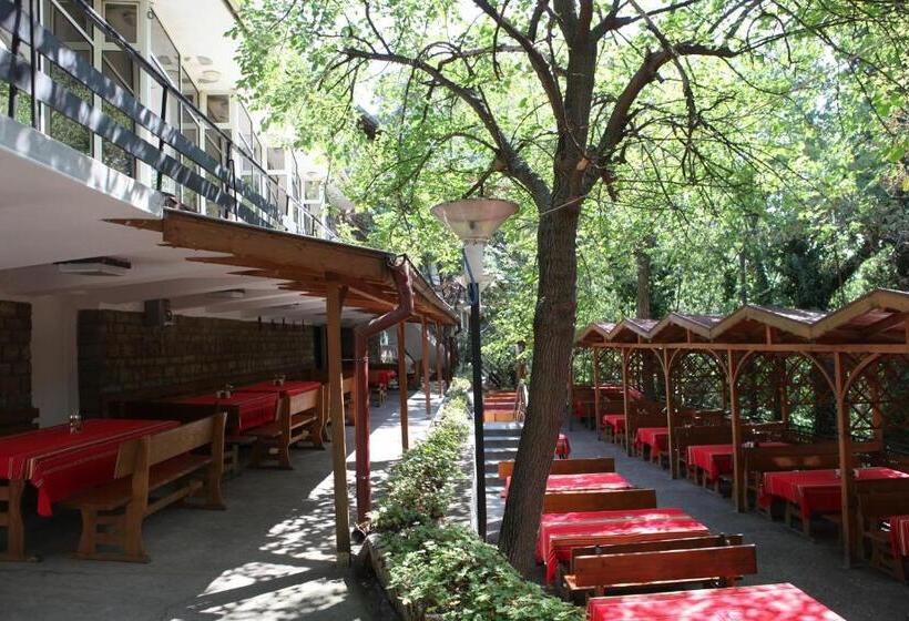 בית מלון כפרי Hijata