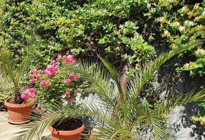 هتل Marianas Guesthouse