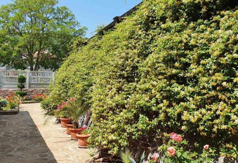 هتل Marianas Guesthouse