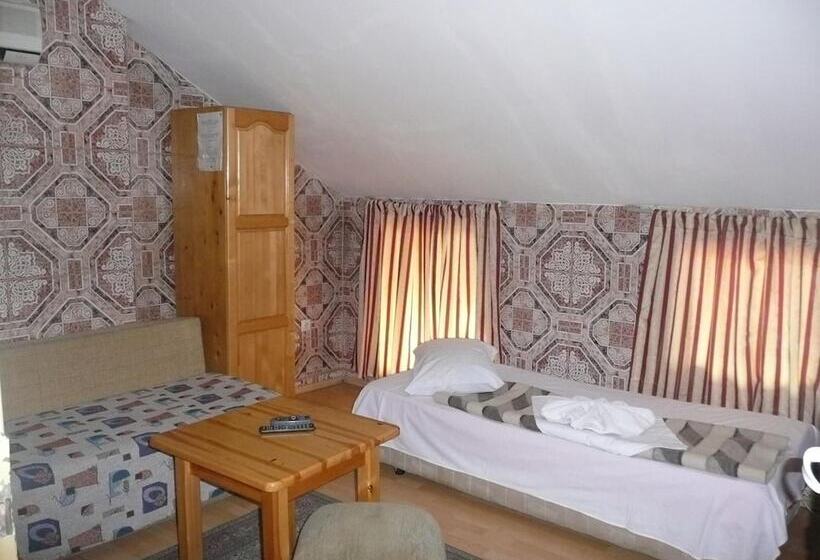 酒店 Shans 2 Hostel