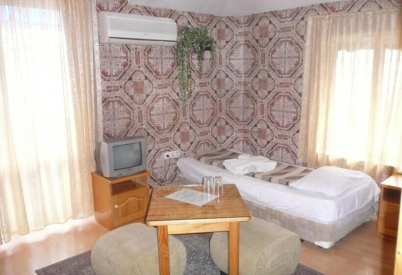 酒店 Shans 2 Hostel