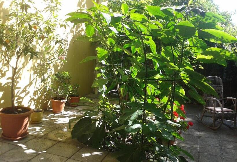 호텔 The Colourful Mansion