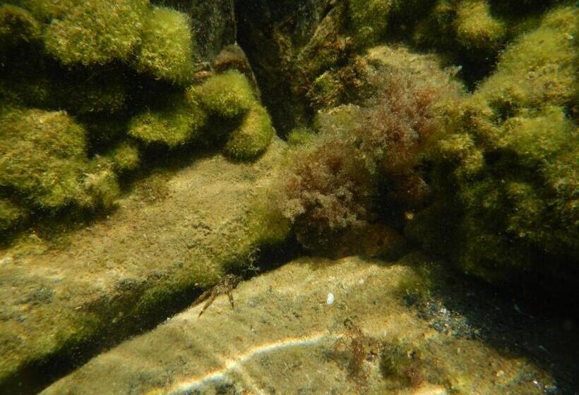 호텔 The Colourful Mansion