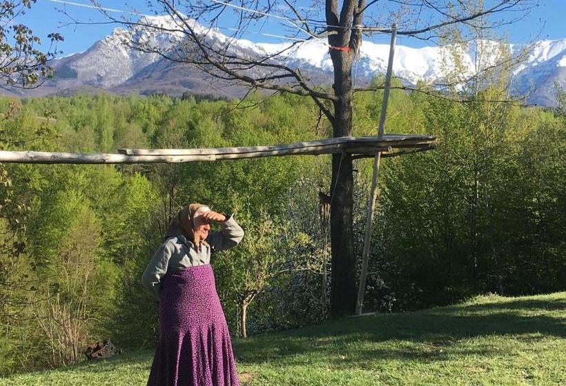 Отель Tihiat Kat