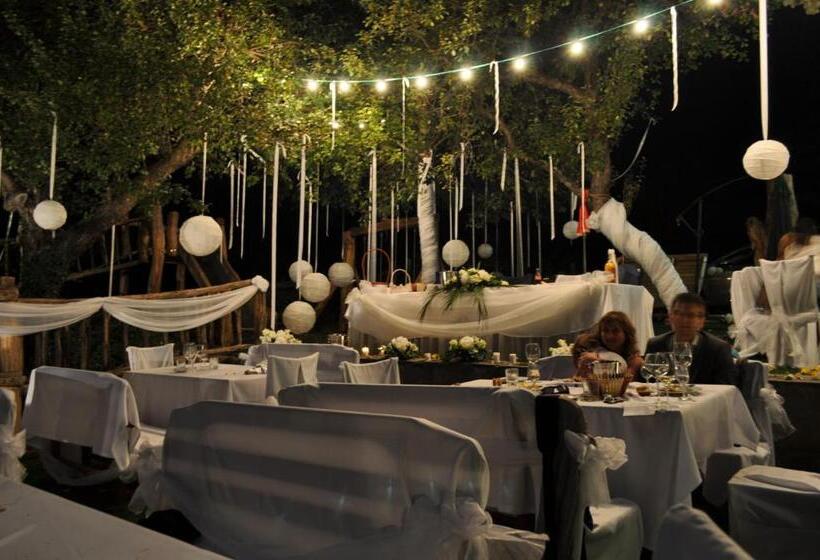 Отель Tihiat Kat