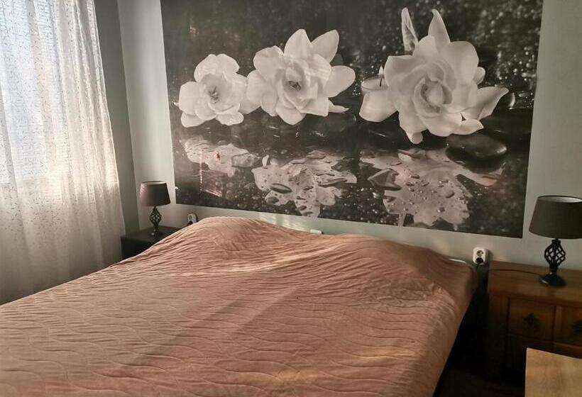 בית מלון כפרי Vival