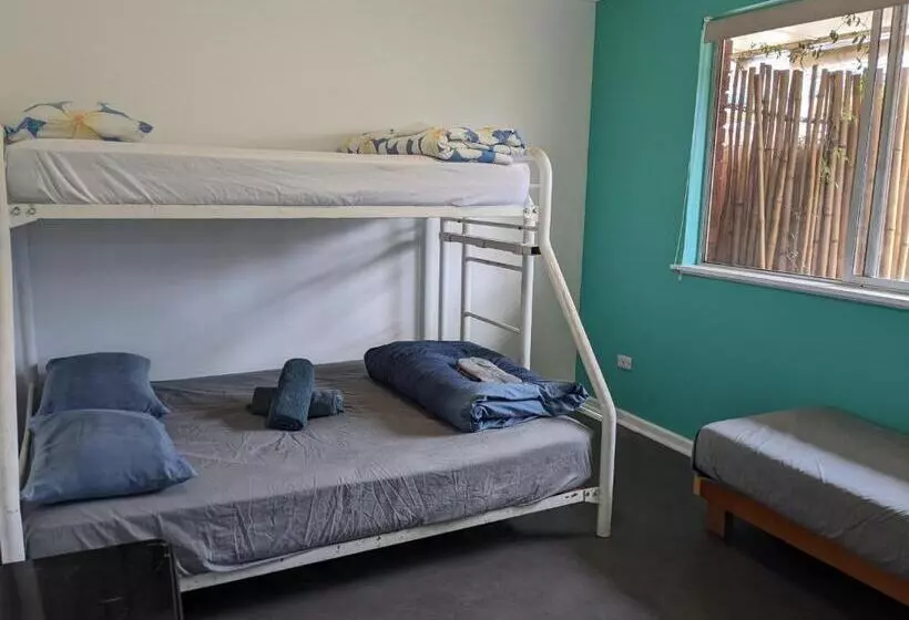 ユースホステル Ozzie Pozzie Backpackers   Port Macquarie Yha