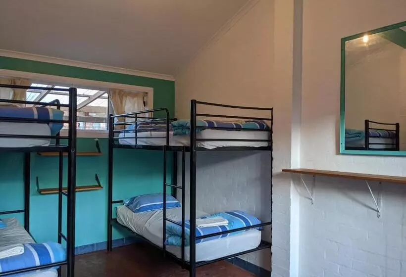 ユースホステル Ozzie Pozzie Backpackers   Port Macquarie Yha