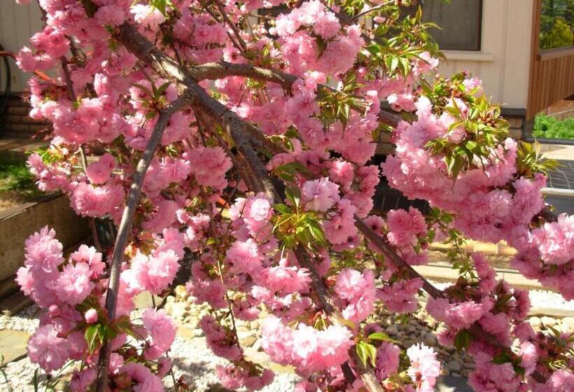 Bathurst Heights Bed & Breakfast