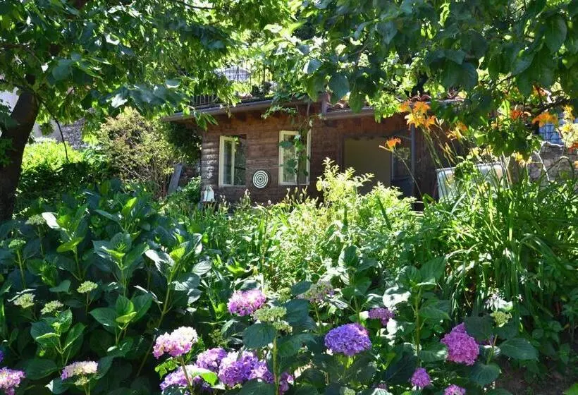 B&b Il Torchio