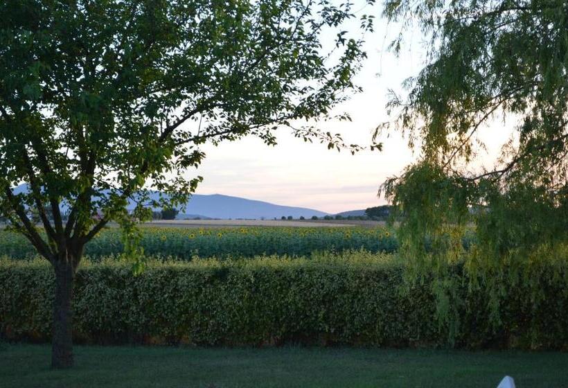 ベッドアンドブレックファースト Agrialbergo Capalbio