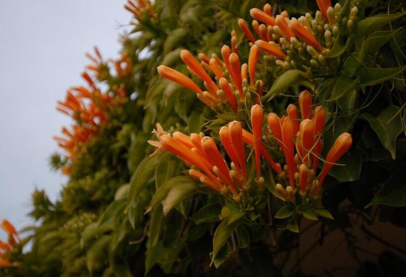 Bed & Breakfast The Dove Cote