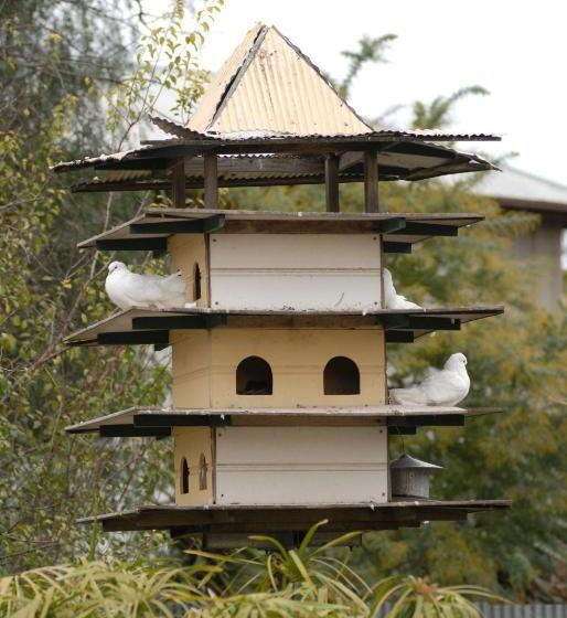 Bed & Breakfast The Dove Cote