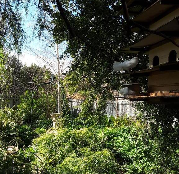 Bed & Breakfast The Dove Cote