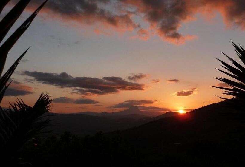 Bed and Breakfast Villa Della Mimosa