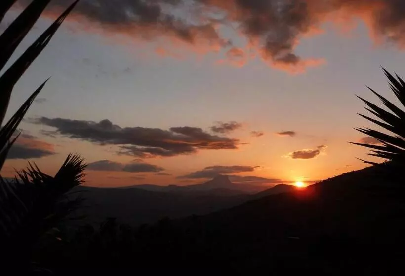 تختخواب و صبحانه Villa Della Mimosa