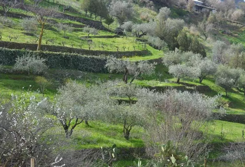 تختخواب و صبحانه Villa Della Mimosa