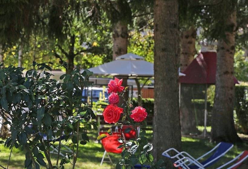 ホテル Stella Alpina