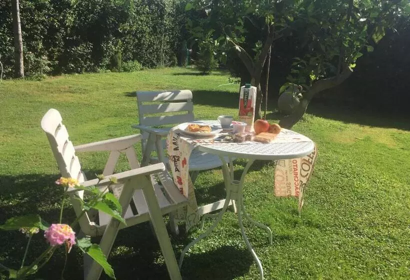 Inn Rome B&b