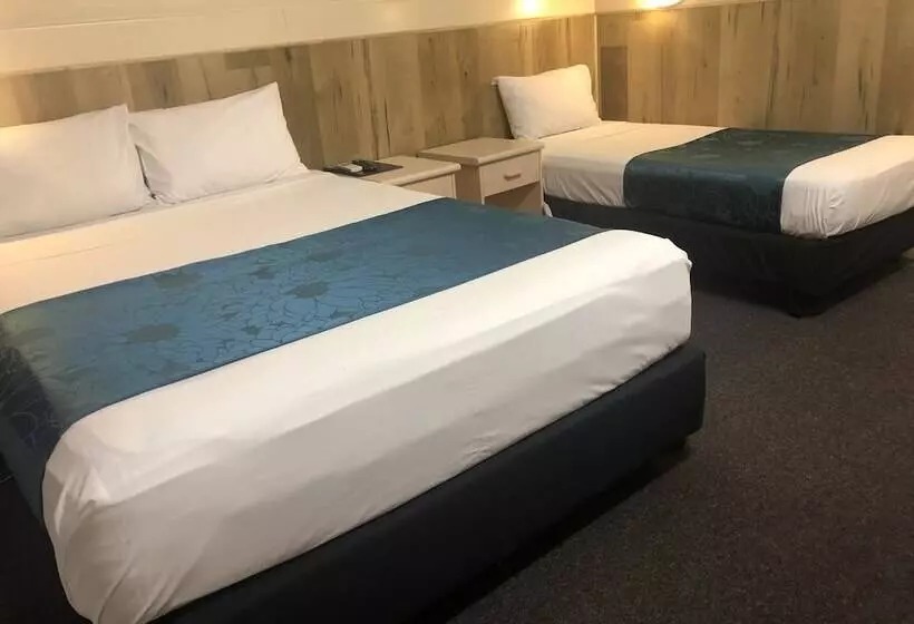 Wattle Tree Motel