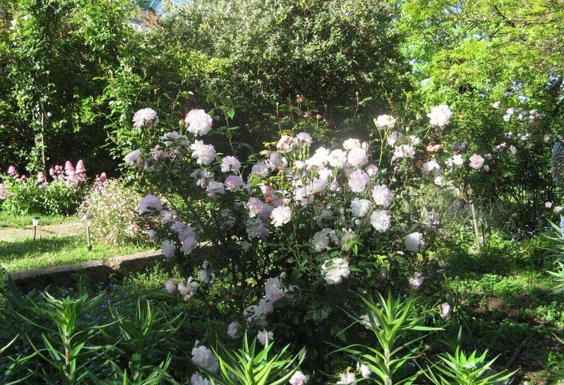 Westella Colonial B&b Accommodation