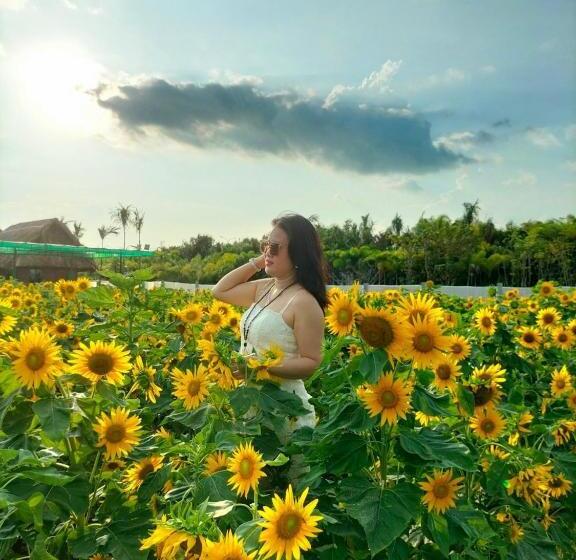 تختخواب و صبحانه Khu Du Lịch Sinh Thái Nghỉ Dưỡng Mientay Lodge