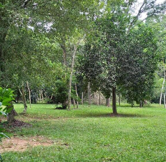 تختخواب و صبحانه Posada Turistica Jeruti