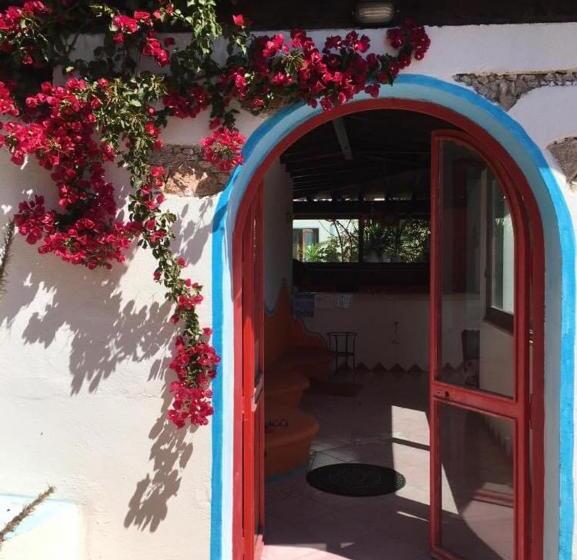 Отель Anima Rooms & Pool