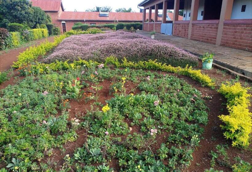 호텔 Stc.safari Lodge