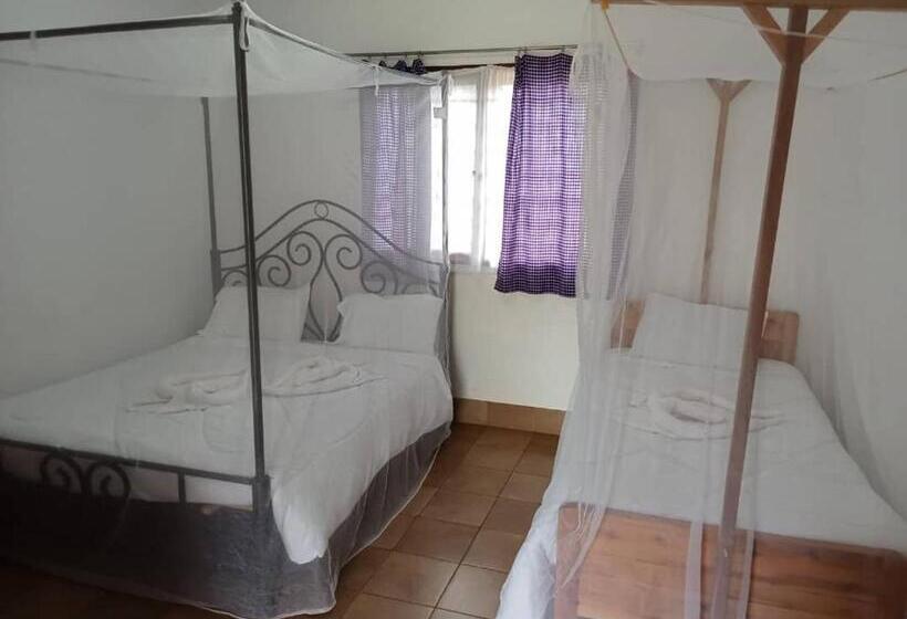 Отель Stc.safari Lodge