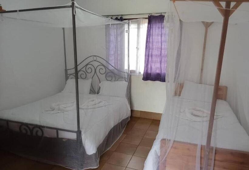 Отель Stc.safari Lodge