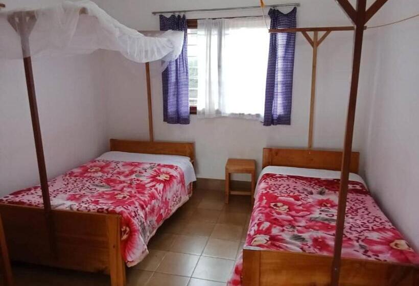 Отель Stc.safari Lodge