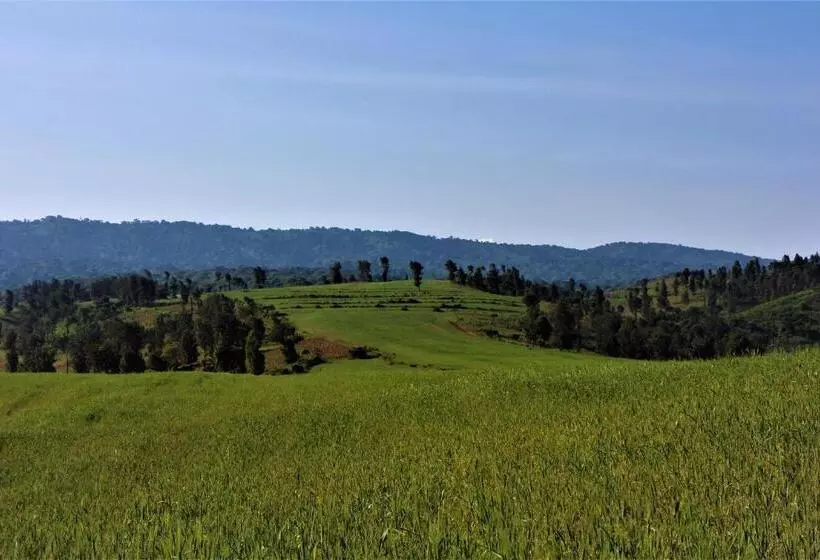 هتل Stc.safari Lodge