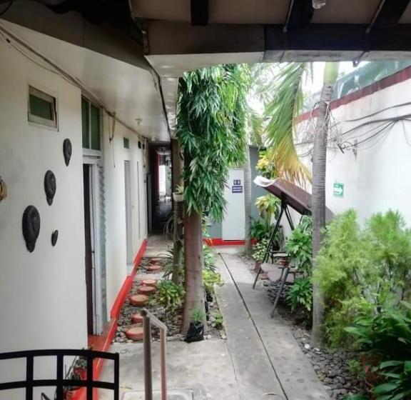 پانسیون D All Leon Hostal