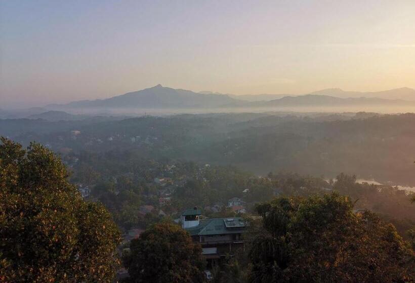 Bed and Breakfast Dream House Residence