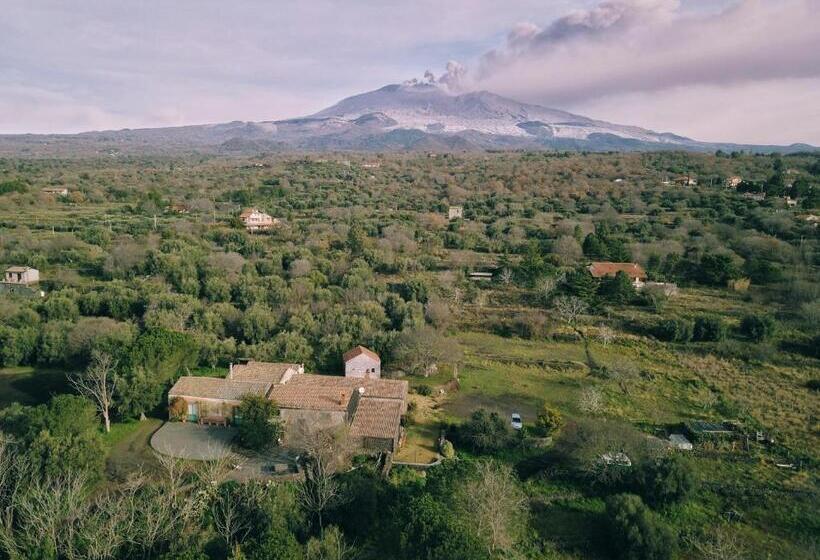 تختخواب و صبحانه L Uva E Il Vento   Convivial Farmhouse
