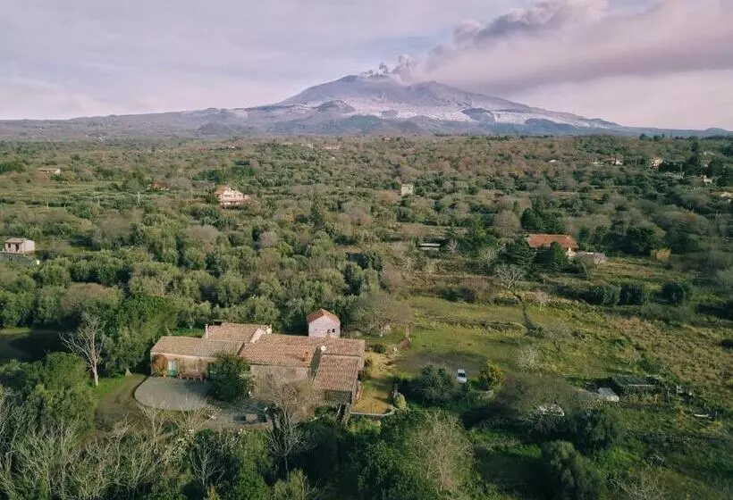 تختخواب و صبحانه L Uva E Il Vento Convivial Farmhouse