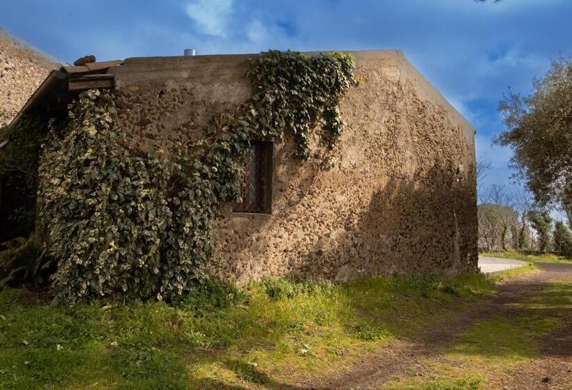 تختخواب و صبحانه L Uva E Il Vento   Convivial Farmhouse