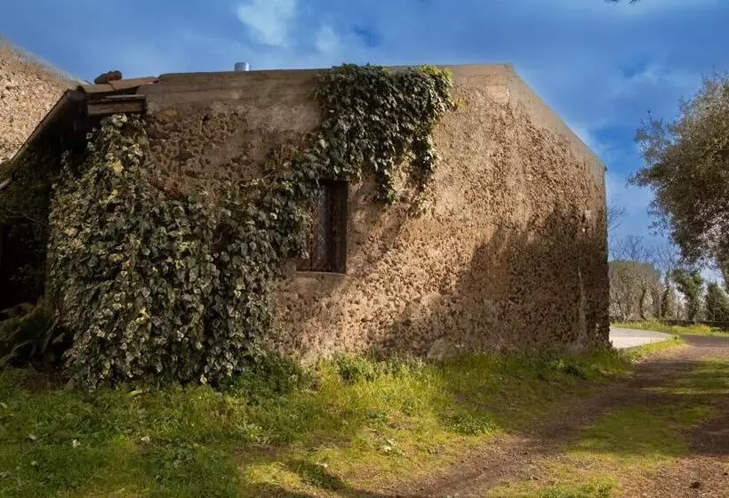 تختخواب و صبحانه L Uva E Il Vento Convivial Farmhouse