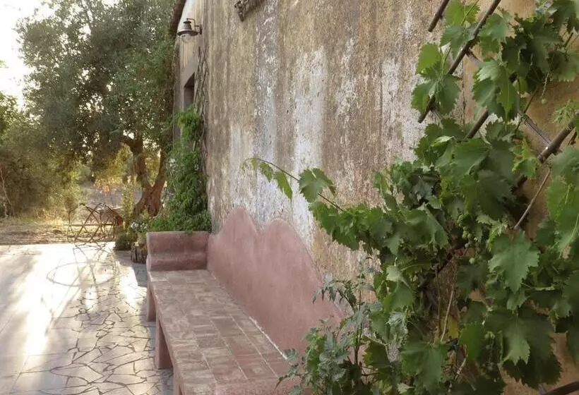 تختخواب و صبحانه L Uva E Il Vento Convivial Farmhouse