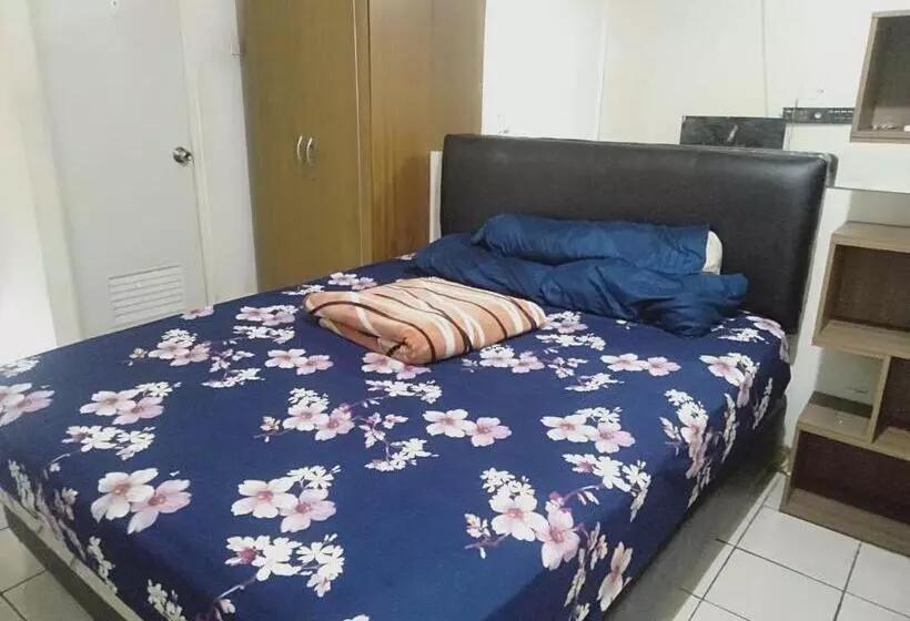 Geforce Rtx Hostel