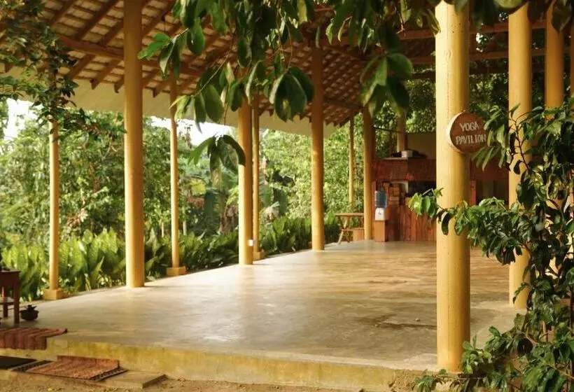 ユースホステル Senses Yoga Retreat