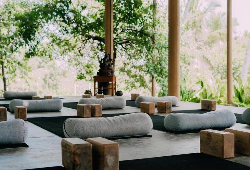 Общежитие Senses Yoga Retreat