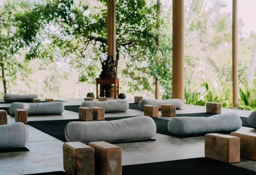 ユースホステル Senses Yoga Retreat