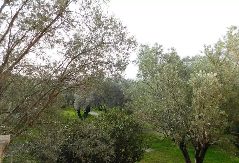 Appartamenti Sant Andrea