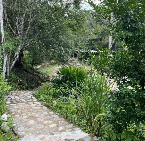 ホテル Cabañas Monteleón Paicol  Huila