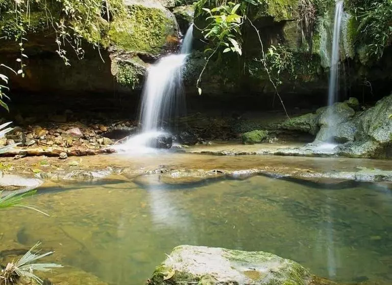 ホテル Cabañas Monteleón Paicol  Huila